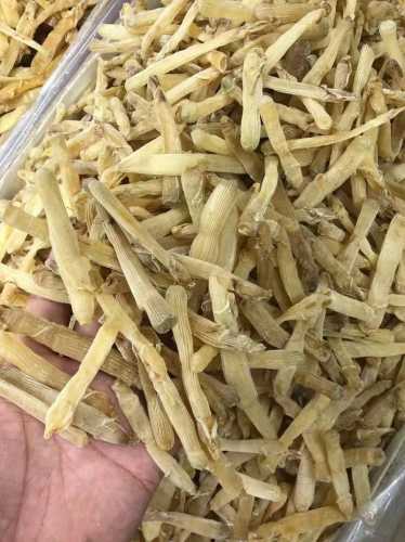 沙虫干的做法_沙虫干的做法和吃法