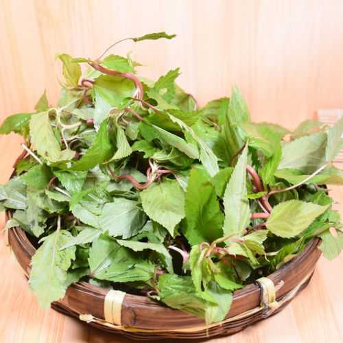 麻叶(野菜类)的做法
