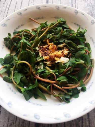 马齿菜怎么吃_马齿菜怎么吃好吃又简单