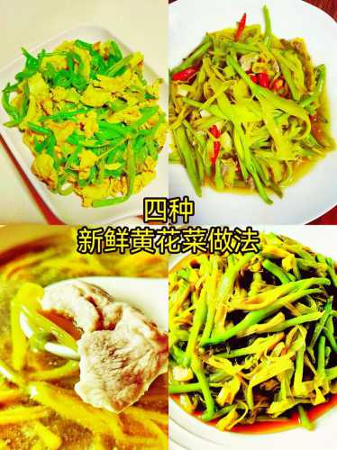黄花菜的做法大全