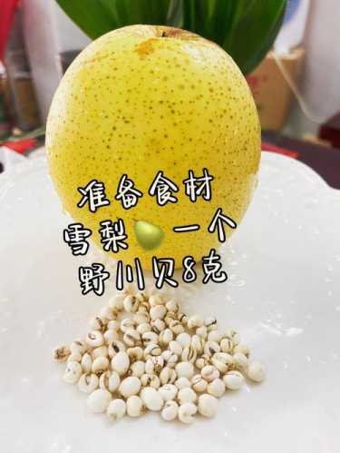 川贝炖梨的做法