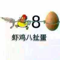 虾扯蛋图片_虾扯蛋图片大全 搞笑