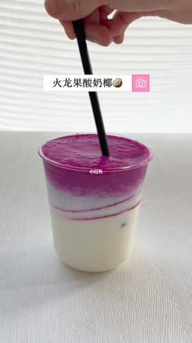 火龙果奶昔(酸奶)的做法