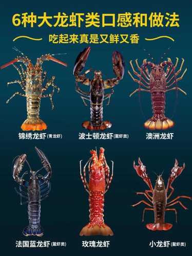 锦绣大龙虾的做法