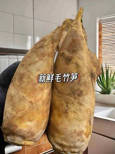 新鲜毛竹笋的家常做法