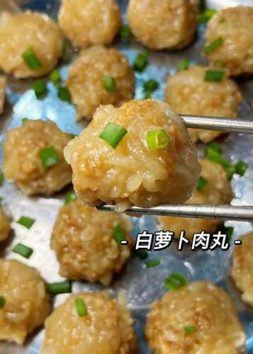 萝卜肉丸子_萝卜肉丸子的做法