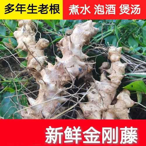 菱角怎么煮_菱角怎么煮煮多久