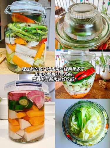四川泡菜的做法_四川泡菜的做法最正宗的做法视频