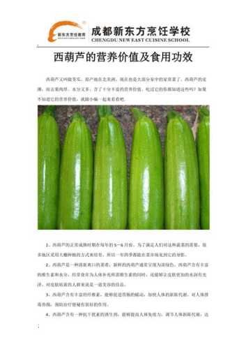 笋瓜的功效与作用