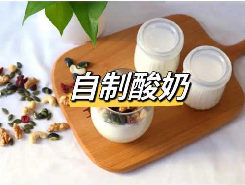 自制酸奶的家常做法