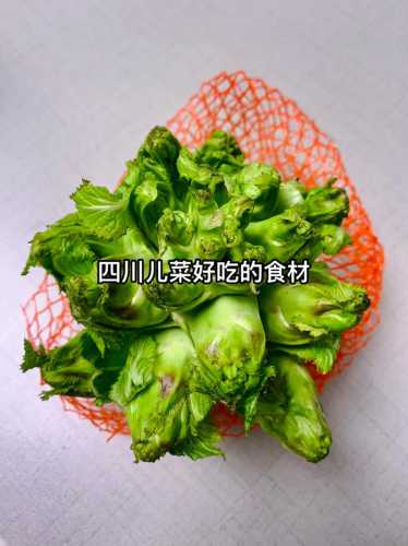 儿菜的精选做法