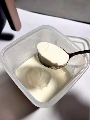DIY酸奶的做法