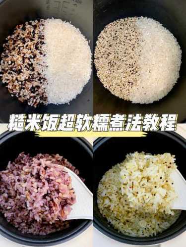 减肥糙米饭的做法大全