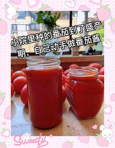 番茄酱做法_番茄酱做法最正宗的做法