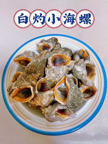 海螺丝的做法_海螺丝的做法 家常