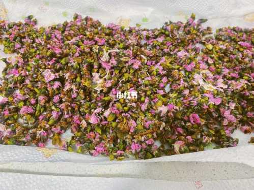 桃花白芷酒_桃花白芷酒的功效