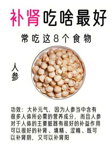 肾阳虚吃什么食物