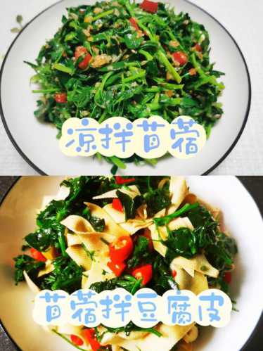 苜蓿菜的做法_苜蓿菜的做法和吃法