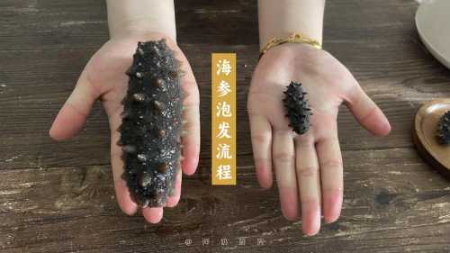 海参怎么发_海参怎么发效果最好