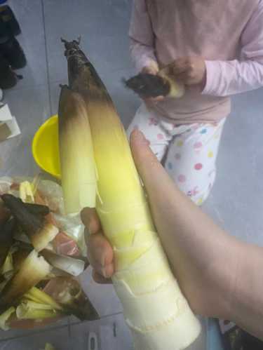 春笋怎么剥皮_春笋怎么剥皮图解