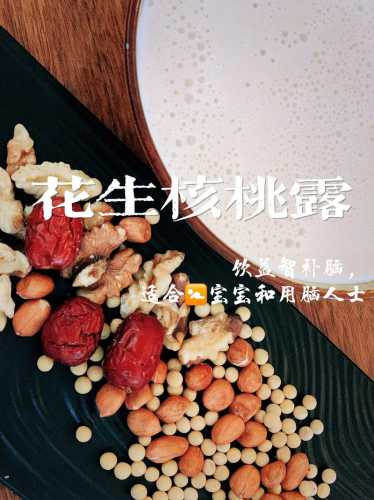 核桃露的做法_核桃露的做法用破壁机