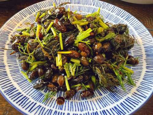 煮茴香豆的做法