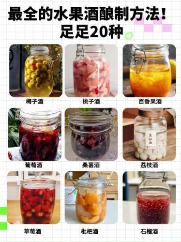 杏子酒的做法大全