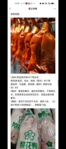 烧鸭的做法_烧鸭的做法与配方视频教程