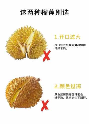 榴莲怎么选_榴莲怎么选才是最好的皮薄肉多