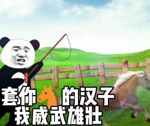 汉子你威武雄壮_套马杆的汉子你威武雄壮