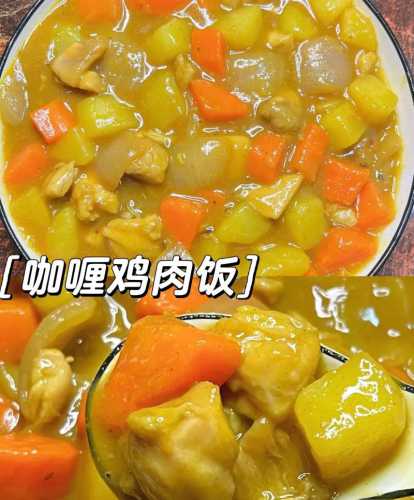 咖喱鸡肉饭_咖喱鸡肉饭的做法