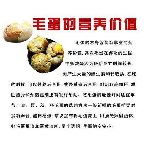 毛鸡蛋_毛鸡蛋活珠子的功效与危害