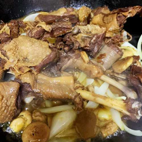 炖鹅肉的做法大全_炖鹅肉的做法大全视频